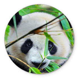 Коврик круглый с принтом Панда в лесу , резина и полиэстер | круглая форма, изображение наносится на всю лицевую часть | бамбук | животное | медведь