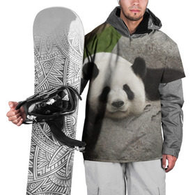 Накидка на куртку 3D с принтом Панда на камушке , 100% полиэстер |  | бамбук | животное | медведь