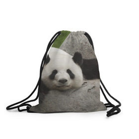 Рюкзак-мешок 3D с принтом Панда на камушке , 100% полиэстер | плотность ткани — 200 г/м2, размер — 35 х 45 см; лямки — толстые шнурки, застежка на шнуровке, без карманов и подкладки | бамбук | животное | медведь