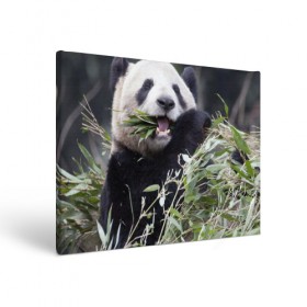 Холст прямоугольный с принтом Панда кушает , 100% ПВХ |  | бамбук | животное | медведь