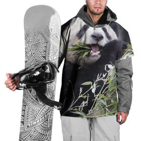 Накидка на куртку 3D с принтом Панда кушает , 100% полиэстер |  | бамбук | животное | медведь