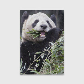 Обложка для паспорта матовая кожа с принтом Панда кушает , натуральная матовая кожа | размер 19,3 х 13,7 см; прозрачные пластиковые крепления | бамбук | животное | медведь