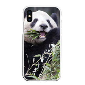 Чехол для iPhone XS Max матовый с принтом Панда кушает , Силикон | Область печати: задняя сторона чехла, без боковых панелей | бамбук | животное | медведь
