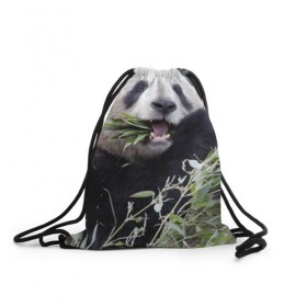 Рюкзак-мешок 3D с принтом Панда кушает , 100% полиэстер | плотность ткани — 200 г/м2, размер — 35 х 45 см; лямки — толстые шнурки, застежка на шнуровке, без карманов и подкладки | бамбук | животное | медведь