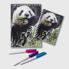 Блокнот с принтом Панда кушает , 100% бумага | 48 листов, плотность листов — 60 г/м2, плотность картонной обложки — 250 г/м2. Листы скреплены удобной пружинной спиралью. Цвет линий — светло-серый
 | бамбук | животное | медведь