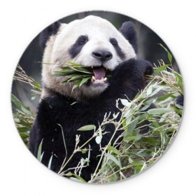 Коврик круглый с принтом Панда кушает , резина и полиэстер | круглая форма, изображение наносится на всю лицевую часть | бамбук | животное | медведь