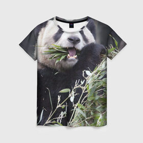 Женская футболка 3D с принтом Панда кушает , 100% полиэфир ( синтетическое хлопкоподобное полотно) | прямой крой, круглый вырез горловины, длина до линии бедер | бамбук | животное | медведь