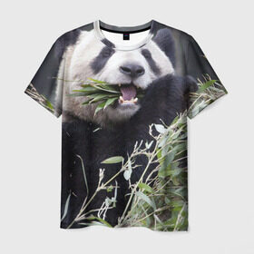 Мужская футболка 3D с принтом Панда кушает , 100% полиэфир | прямой крой, круглый вырез горловины, длина до линии бедер | бамбук | животное | медведь