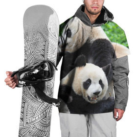 Накидка на куртку 3D с принтом Панды , 100% полиэстер |  | бамбук | животное | медведь