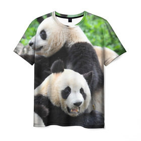 Мужская футболка 3D с принтом Панды , 100% полиэфир | прямой крой, круглый вырез горловины, длина до линии бедер | бамбук | животное | медведь