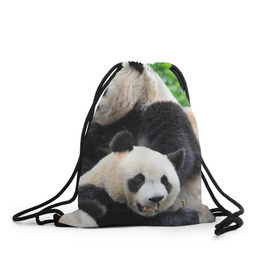 Рюкзак-мешок 3D с принтом Панды , 100% полиэстер | плотность ткани — 200 г/м2, размер — 35 х 45 см; лямки — толстые шнурки, застежка на шнуровке, без карманов и подкладки | бамбук | животное | медведь