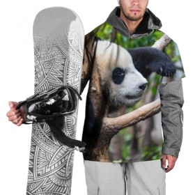 Накидка на куртку 3D с принтом Бамбуковый медведь , 100% полиэстер |  | бамбук | животное | медведь