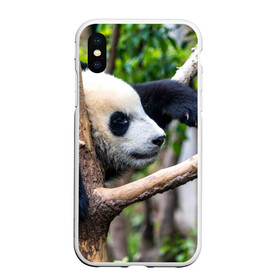 Чехол для iPhone XS Max матовый с принтом Бамбуковый медведь , Силикон | Область печати: задняя сторона чехла, без боковых панелей | бамбук | животное | медведь
