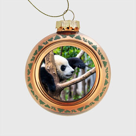 Стеклянный ёлочный шар с принтом Бамбуковый медведь , Стекло | Диаметр: 80 мм | бамбук | животное | медведь