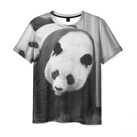 Мужская футболка 3D с принтом Панды чб фото , 100% полиэфир | прямой крой, круглый вырез горловины, длина до линии бедер | бамбук | животное | медведь
