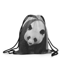 Рюкзак-мешок 3D с принтом Панды чб фото , 100% полиэстер | плотность ткани — 200 г/м2, размер — 35 х 45 см; лямки — толстые шнурки, застежка на шнуровке, без карманов и подкладки | бамбук | животное | медведь