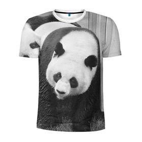 Мужская футболка 3D спортивная с принтом Панды чб фото , 100% полиэстер с улучшенными характеристиками | приталенный силуэт, круглая горловина, широкие плечи, сужается к линии бедра | бамбук | животное | медведь