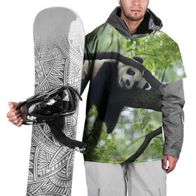 Накидка на куртку 3D с принтом Панда спит на ветке , 100% полиэстер |  | бамбук | животное | медведь