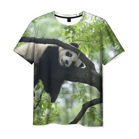 Мужская футболка 3D с принтом Панда спит на ветке , 100% полиэфир | прямой крой, круглый вырез горловины, длина до линии бедер | бамбук | животное | медведь
