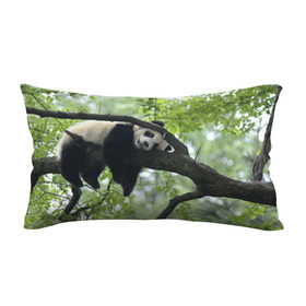 Подушка 3D антистресс с принтом Панда спит на ветке , наволочка — 100% полиэстер, наполнитель — вспененный полистирол | состоит из подушки и наволочки на молнии | бамбук | животное | медведь