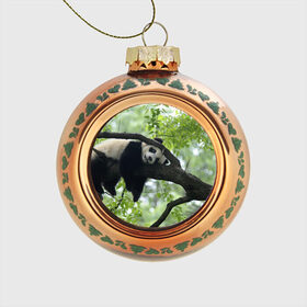 Стеклянный ёлочный шар с принтом Панда спит на ветке , Стекло | Диаметр: 80 мм | бамбук | животное | медведь