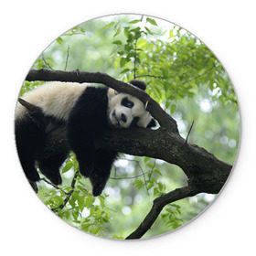 Коврик круглый с принтом Панда спит на ветке , резина и полиэстер | круглая форма, изображение наносится на всю лицевую часть | бамбук | животное | медведь