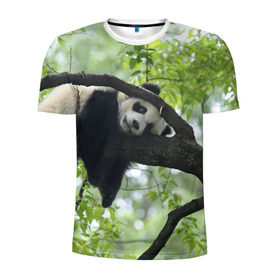 Мужская футболка 3D спортивная с принтом Панда спит на ветке , 100% полиэстер с улучшенными характеристиками | приталенный силуэт, круглая горловина, широкие плечи, сужается к линии бедра | бамбук | животное | медведь