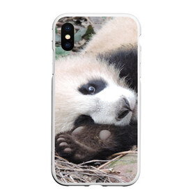Чехол для iPhone XS Max матовый с принтом Лапка панда , Силикон | Область печати: задняя сторона чехла, без боковых панелей | бамбук | животное | медведь