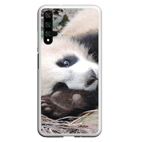 Чехол для Honor 20 с принтом Лапка панда , Силикон | Область печати: задняя сторона чехла, без боковых панелей | бамбук | животное | медведь