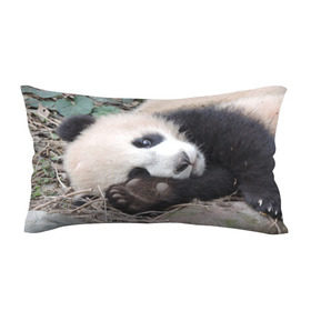 Подушка 3D антистресс с принтом Лапка панда , наволочка — 100% полиэстер, наполнитель — вспененный полистирол | состоит из подушки и наволочки на молнии | бамбук | животное | медведь