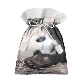 Подарочный 3D мешок с принтом Лапка панда , 100% полиэстер | Размер: 29*39 см | бамбук | животное | медведь