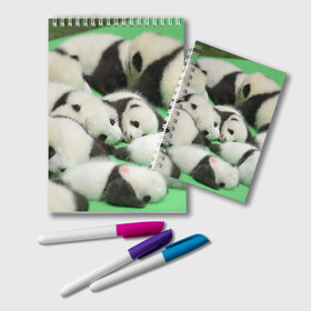 Блокнот с принтом Новорожденные панды , 100% бумага | 48 листов, плотность листов — 60 г/м2, плотность картонной обложки — 250 г/м2. Листы скреплены удобной пружинной спиралью. Цвет линий — светло-серый
 | бамбук | животное | медведь