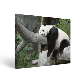 Холст прямоугольный с принтом Большая уставшая панда , 100% ПВХ |  | бамбук | животное | медведь