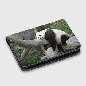 Картхолдер с принтом с принтом Большая уставшая панда , натуральная матовая кожа | размер 7,3 х 10 см; кардхолдер имеет 4 кармана для карт; | бамбук | животное | медведь