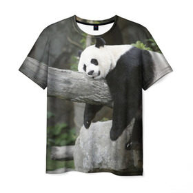 Мужская футболка 3D с принтом Большая уставшая панда , 100% полиэфир | прямой крой, круглый вырез горловины, длина до линии бедер | Тематика изображения на принте: бамбук | животное | медведь