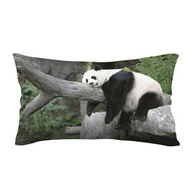 Подушка 3D антистресс с принтом Большая уставшая панда , наволочка — 100% полиэстер, наполнитель — вспененный полистирол | состоит из подушки и наволочки на молнии | бамбук | животное | медведь