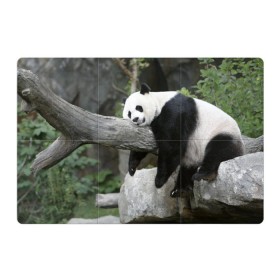 Магнитный плакат 3Х2 с принтом Большая уставшая панда , Полимерный материал с магнитным слоем | 6 деталей размером 9*9 см | бамбук | животное | медведь