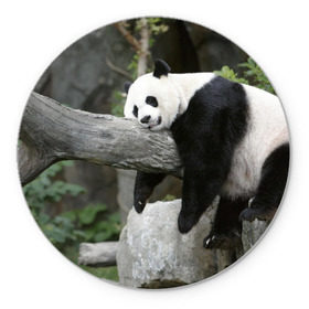 Коврик круглый с принтом Большая уставшая панда , резина и полиэстер | круглая форма, изображение наносится на всю лицевую часть | бамбук | животное | медведь