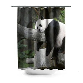 Штора 3D для ванной с принтом Большая уставшая панда , 100% полиэстер | плотность материала — 100 г/м2. Стандартный размер — 146 см х 180 см. По верхнему краю — пластиковые люверсы для креплений. В комплекте 10 пластиковых колец | бамбук | животное | медведь