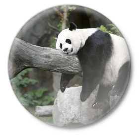 Значок с принтом Большая уставшая панда ,  металл | круглая форма, металлическая застежка в виде булавки | бамбук | животное | медведь