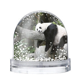 Снежный шар с принтом Большая уставшая панда , Пластик | Изображение внутри шара печатается на глянцевой фотобумаге с двух сторон | бамбук | животное | медведь