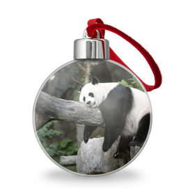 Ёлочный шар с принтом Большая уставшая панда , Пластик | Диаметр: 77 мм | бамбук | животное | медведь