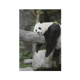 Обложка для паспорта матовая кожа с принтом Большая уставшая панда , натуральная матовая кожа | размер 19,3 х 13,7 см; прозрачные пластиковые крепления | бамбук | животное | медведь