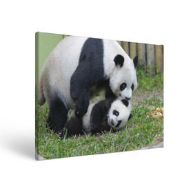 Холст прямоугольный с принтом Мамочка и сыночек панды , 100% ПВХ |  | Тематика изображения на принте: бамбук | животное | медведь