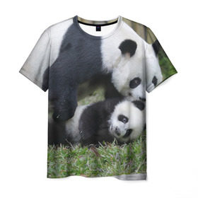 Мужская футболка 3D с принтом Мамочка и сыночек панды , 100% полиэфир | прямой крой, круглый вырез горловины, длина до линии бедер | бамбук | животное | медведь