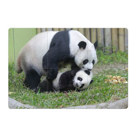 Магнитный плакат 3Х2 с принтом Мамочка и сыночек панды , Полимерный материал с магнитным слоем | 6 деталей размером 9*9 см | бамбук | животное | медведь