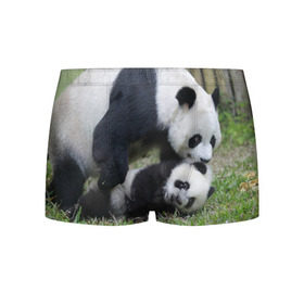 Мужские трусы 3D с принтом Мамочка и сыночек панды , 50% хлопок, 50% полиэстер | классическая посадка, на поясе мягкая тканевая резинка | бамбук | животное | медведь