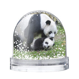 Снежный шар с принтом Мамочка и сыночек панды , Пластик | Изображение внутри шара печатается на глянцевой фотобумаге с двух сторон | бамбук | животное | медведь