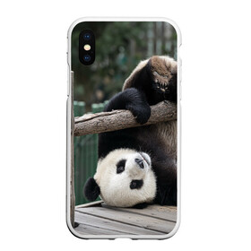 Чехол для iPhone XS Max матовый с принтом Паркур панда , Силикон | Область печати: задняя сторона чехла, без боковых панелей | бамбук | животное | медведь