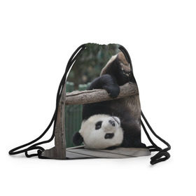 Рюкзак-мешок 3D с принтом Паркур панда , 100% полиэстер | плотность ткани — 200 г/м2, размер — 35 х 45 см; лямки — толстые шнурки, застежка на шнуровке, без карманов и подкладки | бамбук | животное | медведь